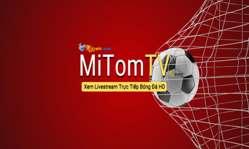 Giới thiệu Mitom TV