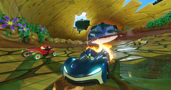 Những tính năng nổi bật trong Team Sonic Racing